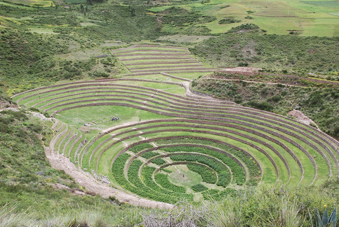 Moray_EcoAmericaPeru1