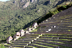 inca_terraces_ecoamericaperu